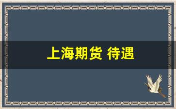 上海期货 待遇(上海期货)_https://www.gfdzclz.com_深交所_第1张
